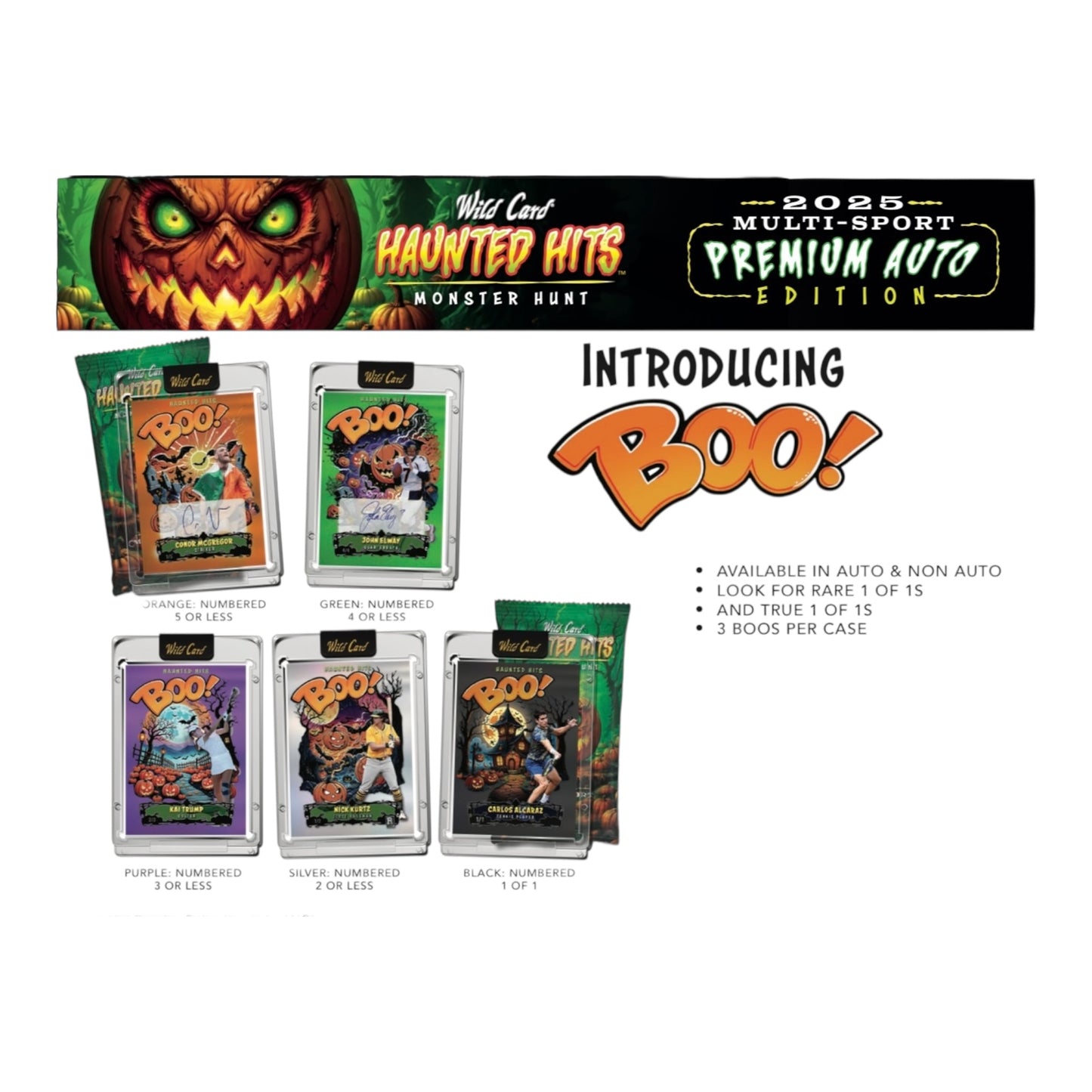2025 Wild Card Haunted Hits MultiSport