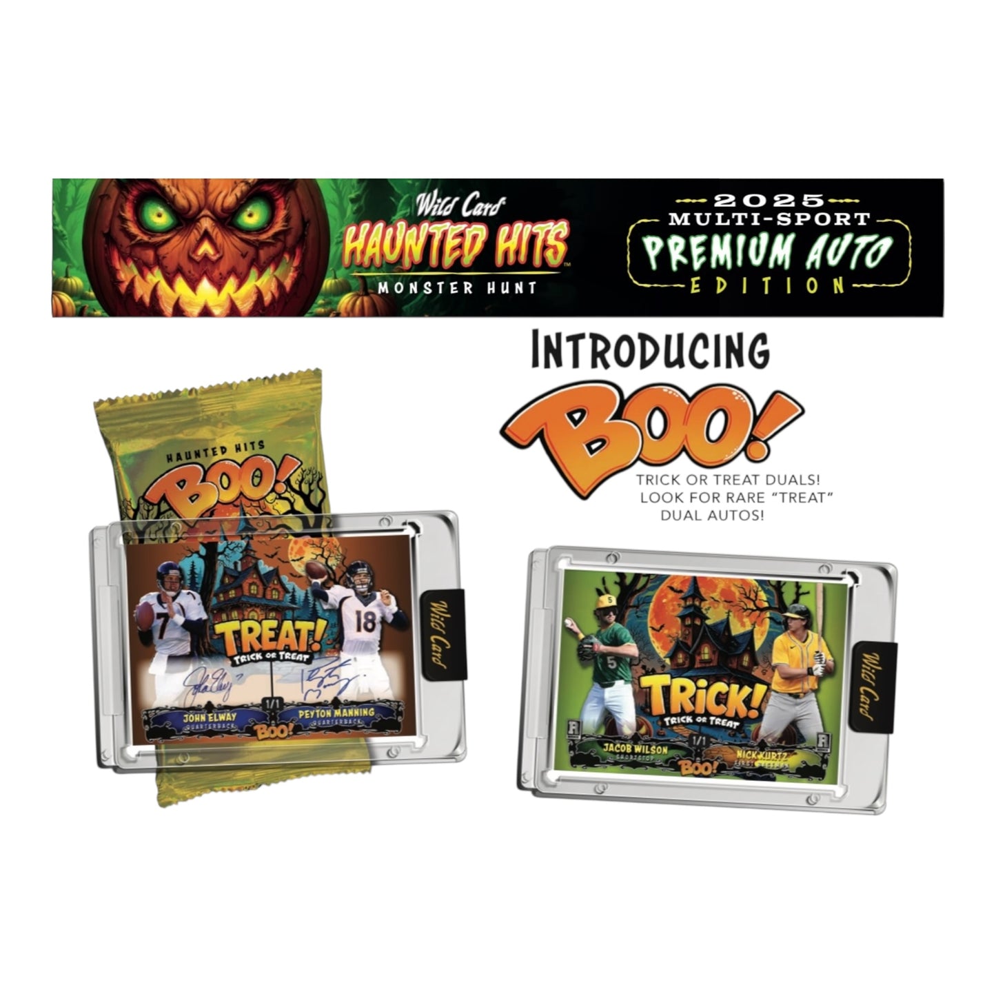 2025 Wild Card Haunted Hits MultiSport