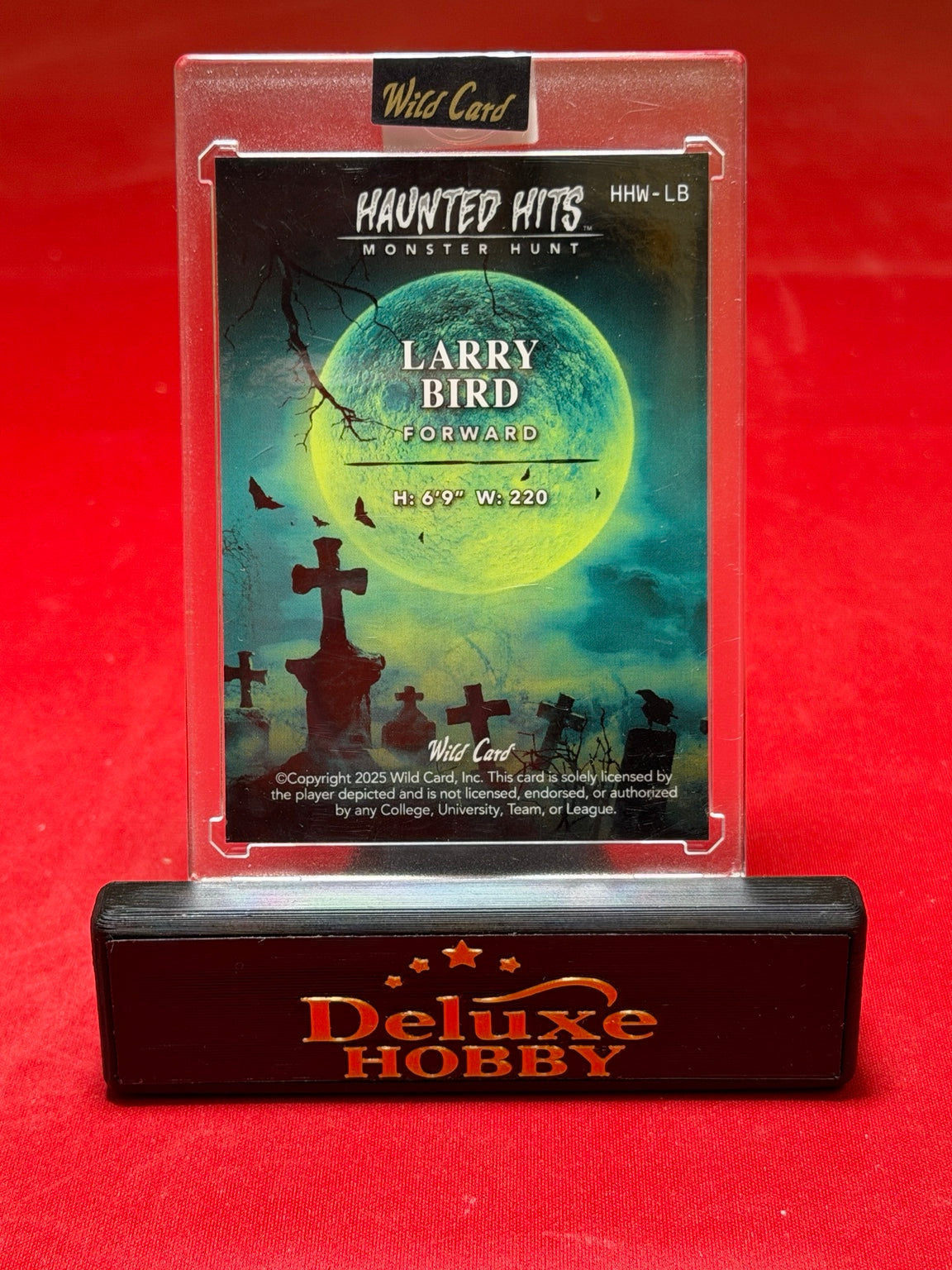 Larry Bird Haunted Hits 5/5 back